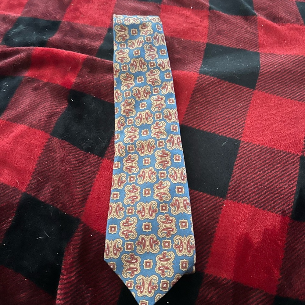 Elegant Paisley Tie in Blue and Red